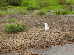 -桂林兴坪漓江