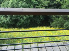 -西湖风景区-江洋畈生态公园