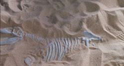 -恐龙探索乐园(磁器口店)