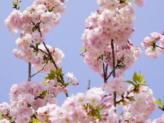 -上海辰山植物园