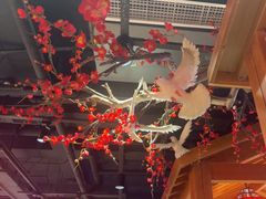 -鸽子窝(黄村店)