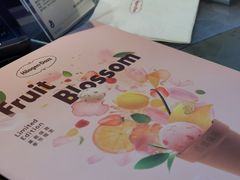 -哈根达斯(龙湖时代天街店)