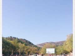 -大青山野生动物园