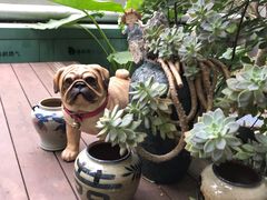 -财神鸡煲(华强北店)