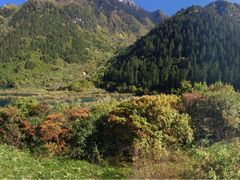 -九寨沟-树正沟