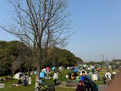 -昆山城市生态森林公园