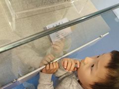 -延庆地质公园博物馆