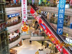 -高新活力汇Vitality