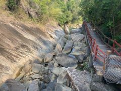 -广州白江湖森林公园