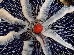 -好鲆·活鱼料理(金地广场店)