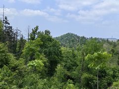 -青龙山国家森林公园