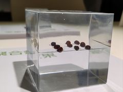 -中国湿地博物馆