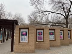 -莲花池公园