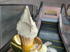 -野人先生现做冰淇淋(北京顺义祥云小镇店)