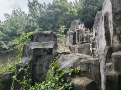 -长虫山生态公园风景林