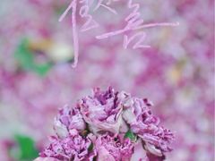 -仁和公园(顺义区)