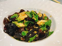 -洞庭家宴·头牌甲鱼(广渠门店)