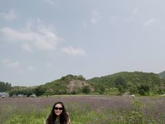 -紫海香堤香草艺术庄园