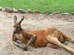 -泉州海丝野生动物世界