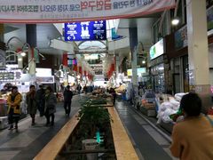 -西归浦每天偶来市场