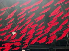 -洞庭鱼香(万科店)