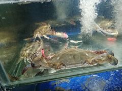 -雅逸居海鲜小厨