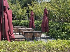 -荷风细雨·中国茶宴(碧云店)