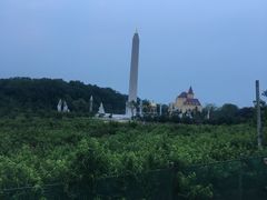 -金孔雀温泉旅游度假村