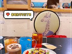 -猫小院猫主题咖啡厅(北锣店)
