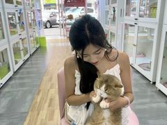 -青奢宠物·青奢猫舍