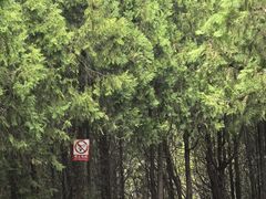 -府君山公园