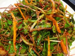 拌萝卜菜-金刚山(学府路店)