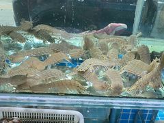 -渔码头食府·20年蓬莱老字号(登州路店)