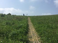 -白草畔自然风景区