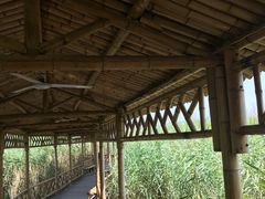 -处女泉风景名胜区