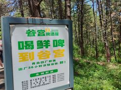 -帽儿山国家森林公园