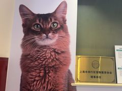 -瑞派申生动物医院·24H夜诊·国际动物医疗中心·骨外科(吴中路店)