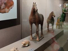 -西安大唐西市博物馆