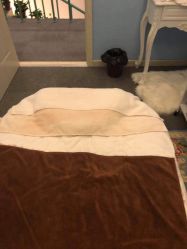 点击看大图 -涵颜维美spa会馆·圣莉斯歌会员服务中心