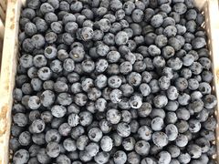 -大连果菜批发市场