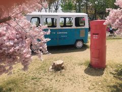 -杭州湾海上花田景区