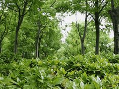 -上海山野camping·户外天幕烧烤·团建拓展营地