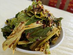 -东吴霸王兔(松青路店)