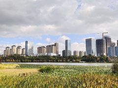 -洛龙公园