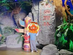 -泉城欧乐堡海洋极地世界
