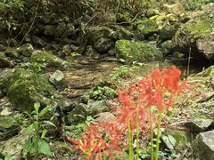 -楠溪江风景名胜区