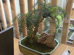 -竹里馆·淮扬菜·功夫茶(老门东店)