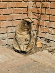 -红砖美术馆-红砖院子·宴会厅