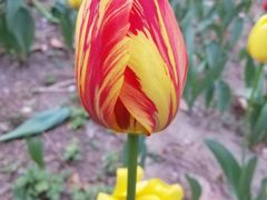 -北京师范大学邱季端体育馆