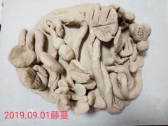-学知乐教育·幼小衔接·小学科辅导(浦东外高桥森兰中心)